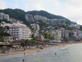 Apartments for rent on hillside above the beach in Playa de Los Muertos in Puerto Vallarta, Mexico – Best Places In The World To Retire – International Living